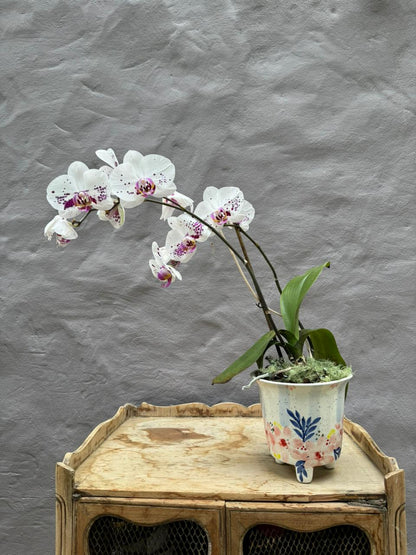  Orquídea & Matera Artesanal | Diseño Local y Solidario