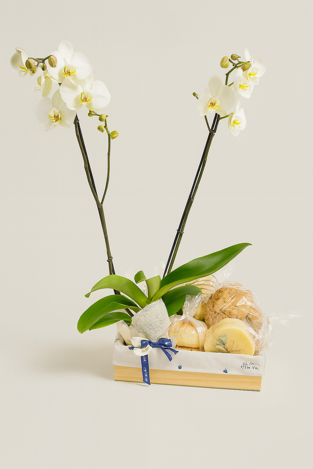 orquidea con panes y quesos