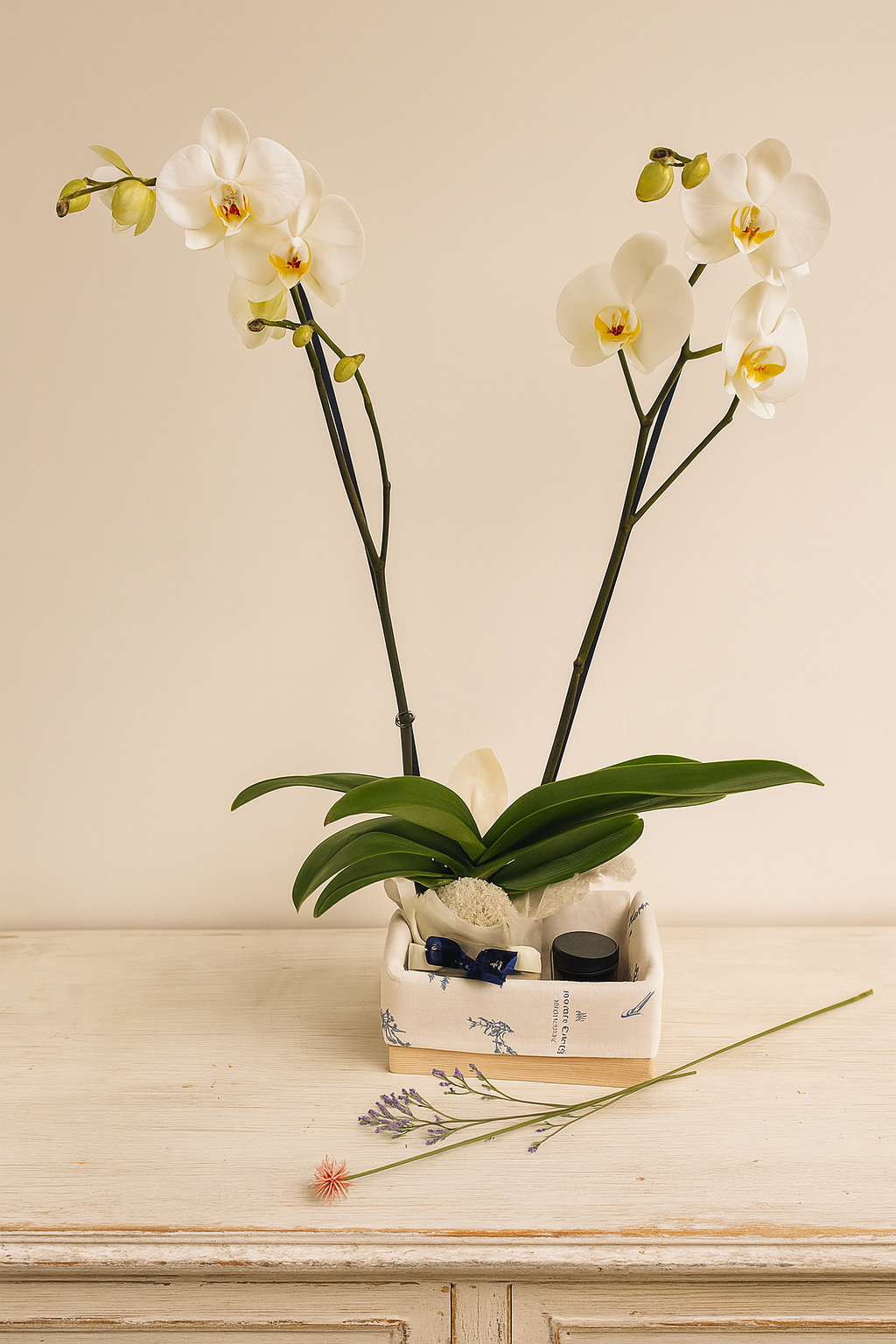 Orquídea con vela Bogotá  | Una luz para ti